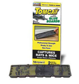2PK RAT GLUE BOARD